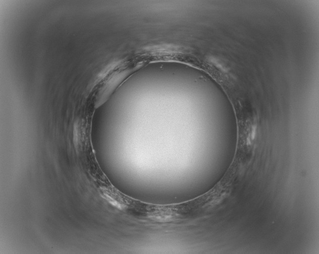 X0000081591157200701151302