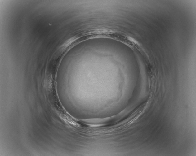 X0000081591161200701151301