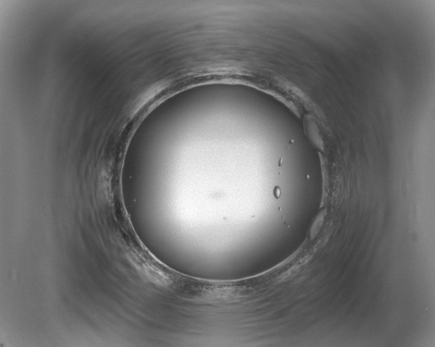X0000081591162200701151301