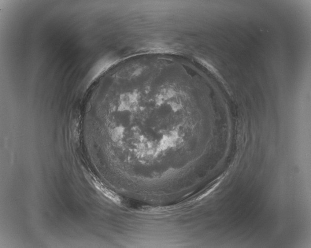 X0000081591163200701151301