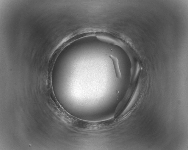 X0000081591165200701151301