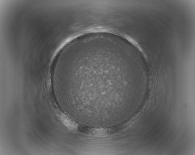 X0000081591167200701151301