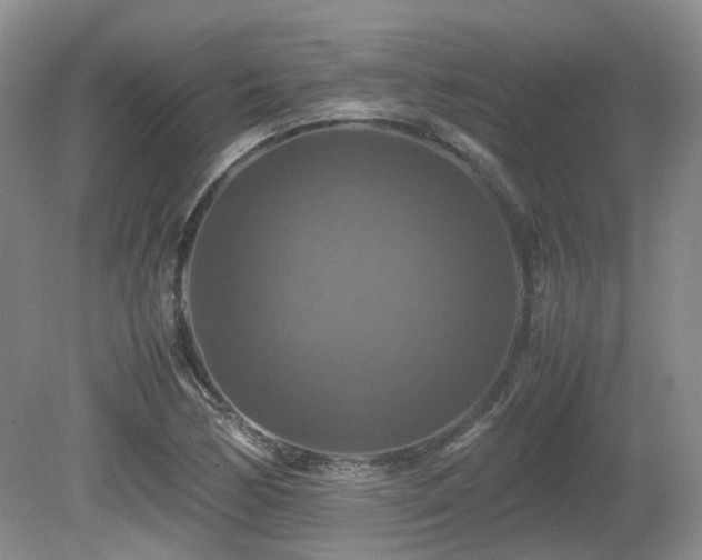 X0000081591170200701151301