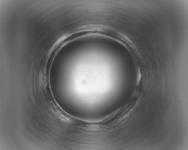 X0000081591172200701151301