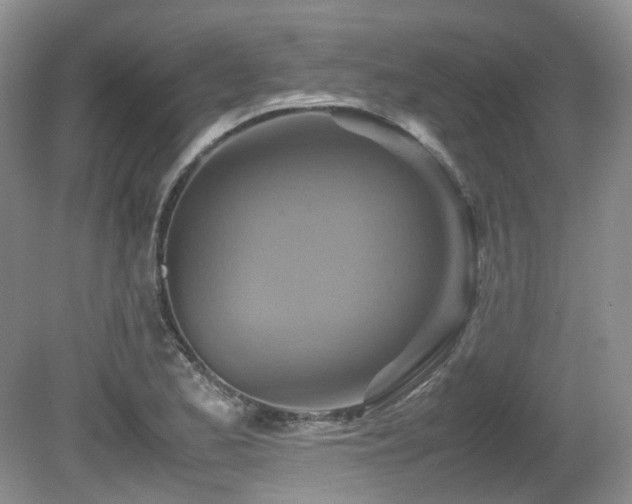 X0000081591173200701151301