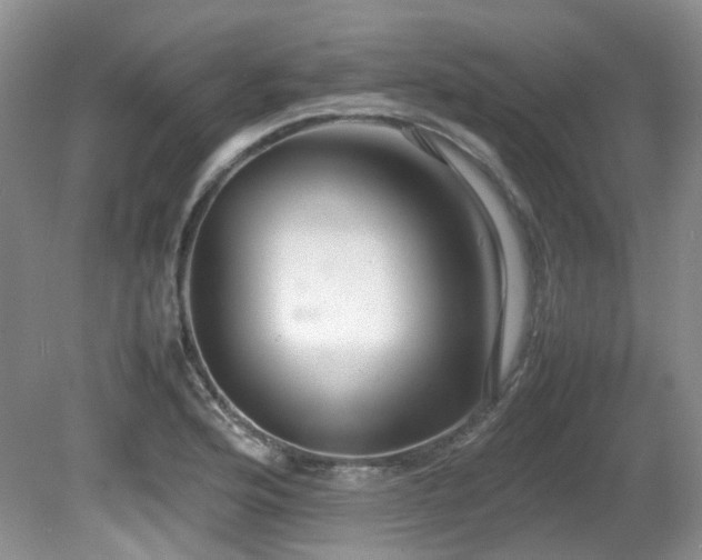 X0000081591176200701151301