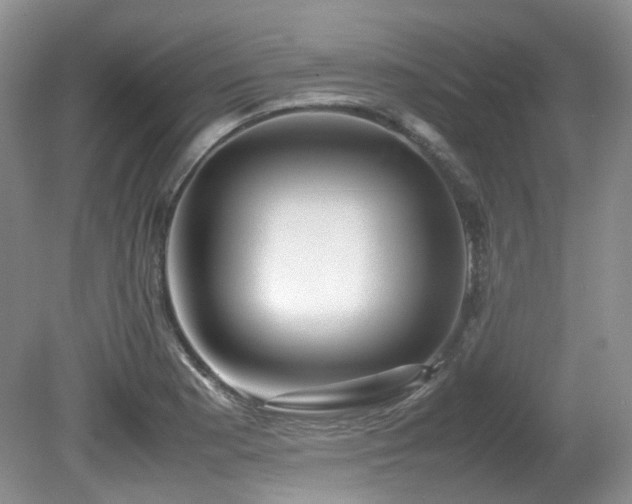 X0000081591177200701151301