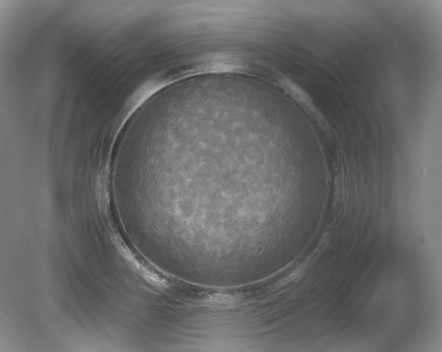 X0000081591178200701151301