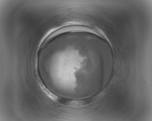 X0000081591179200701151301