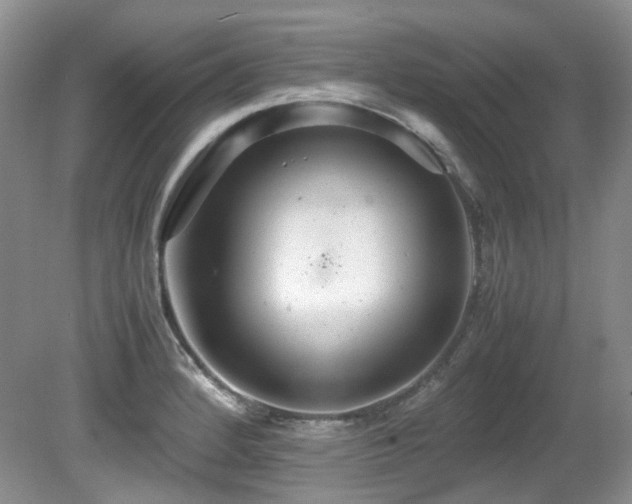 X0000081591184200701151301