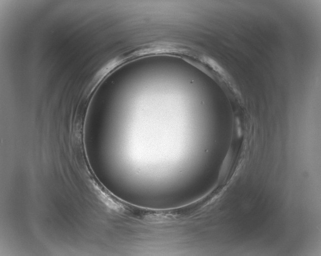 X0000081591185200701151301