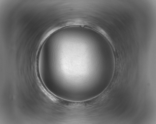 X0000081591187200701151301