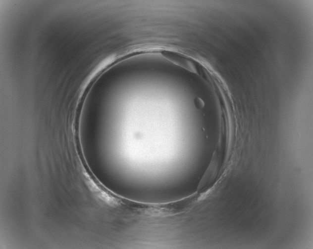 X0000081591189200701151301