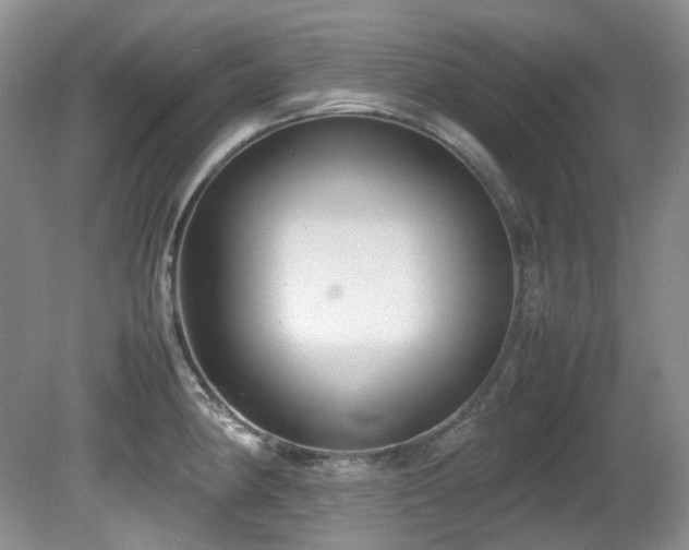 X0000081591190200701151301