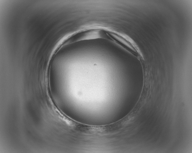 X0000081591191200701151301