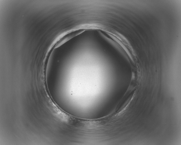 X0000081591192200701151301