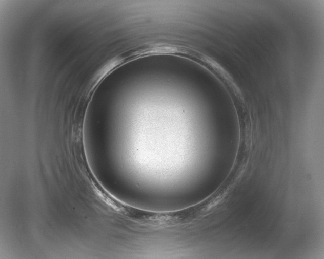 X0000081591193200701151301
