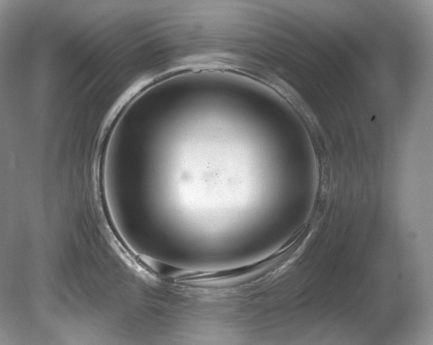 X0000081591196200701151301