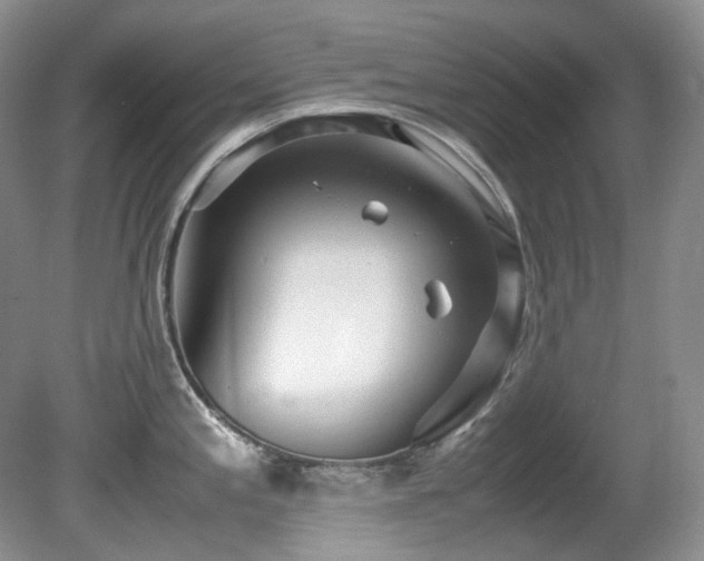 X0000081591197200701151301