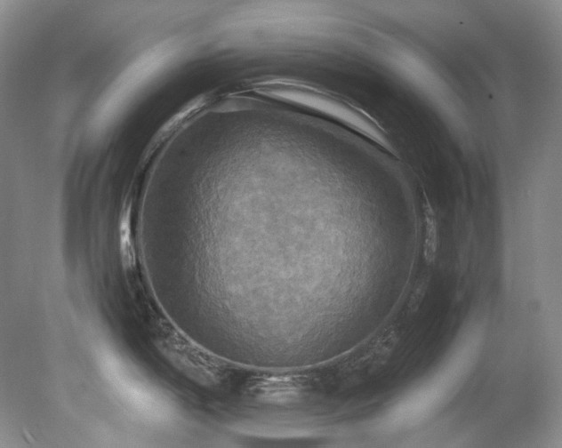 X0000081591198200701151301