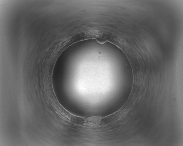 X0000081591201200701151300