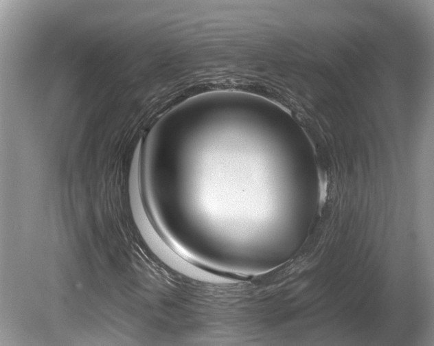 X0000081591202200701151300