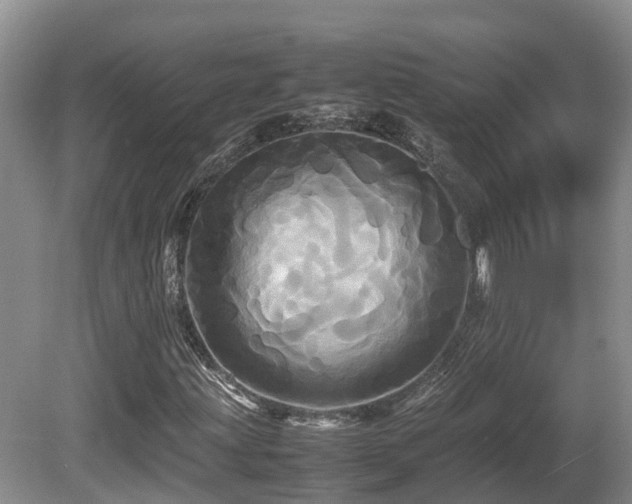 X0000081591203200701151300