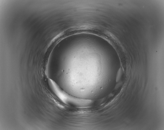 X0000081591210200701151300