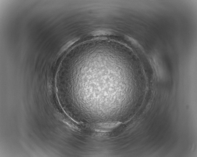 X0000081591217200701151300