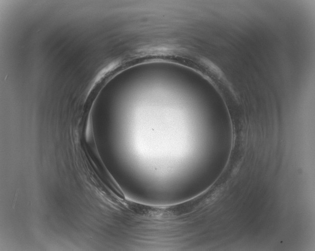 X0000081591218200701151300