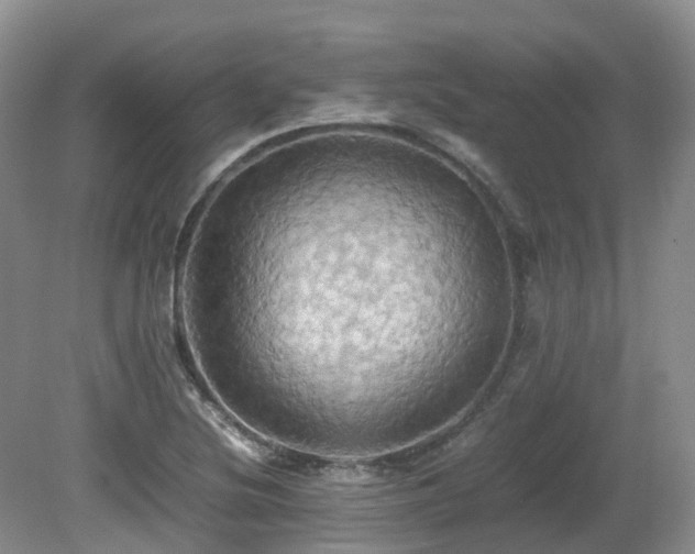 X0000081591220200701151300