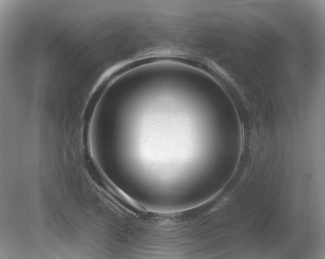 X0000081591222200701151300