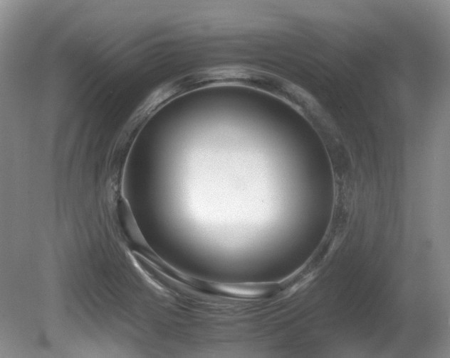 X0000081591225200701151300