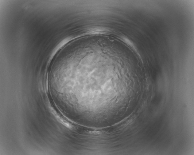 X0000081591227200701151300