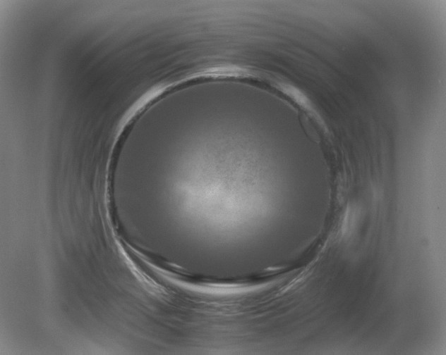 X0000081591229200701151300
