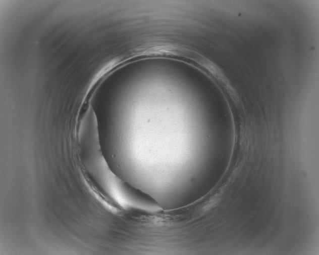 X0000081591234200701151301