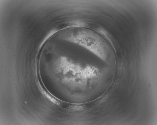 X0000081591235200701151301