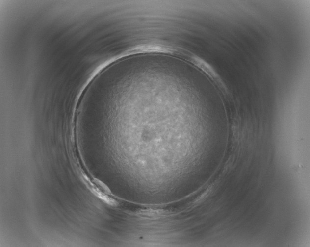 X0000081591236200701151301