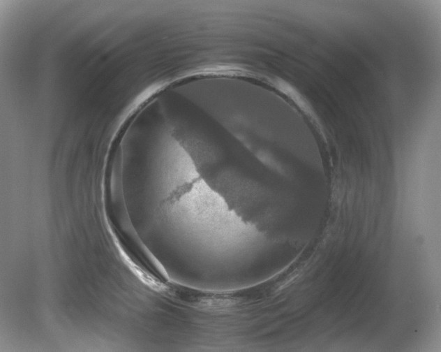 X0000081591237200701151301