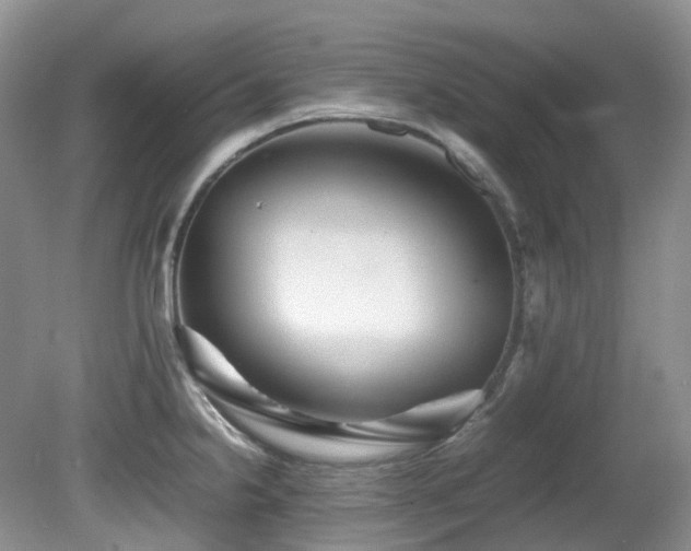 X0000081591238200701151301