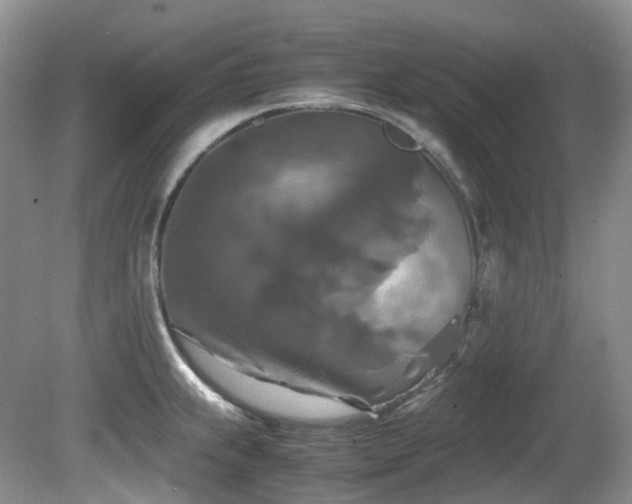 X0000081591239200701151301