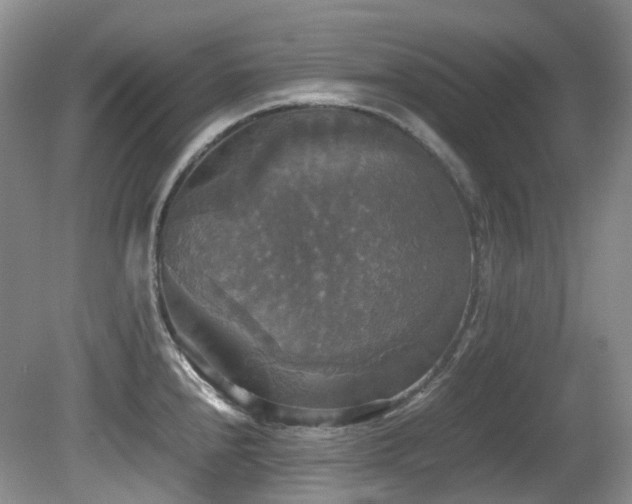 X0000081591240200701151301