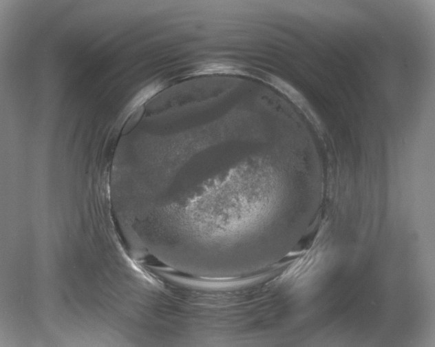 X0000081591241200701151301