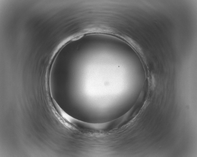 X0000081591246200701151301