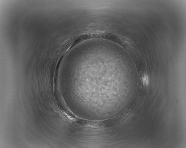 X0000081591252200701151300
