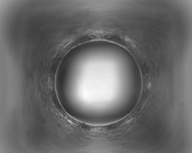 X0000081591253200701151300