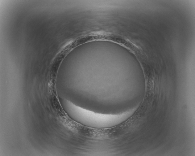 X0000081591254200701151300