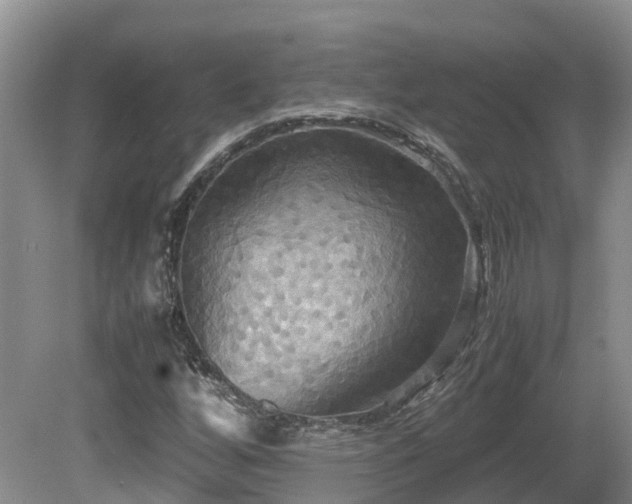 X0000081591256200701151300