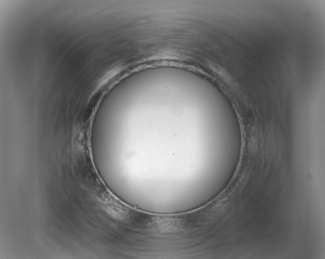 X0000081591258200701151300