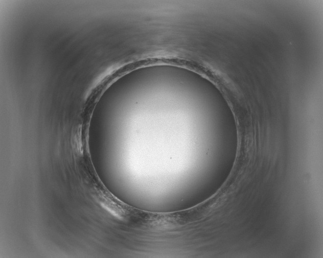 X0000081591262200701151300